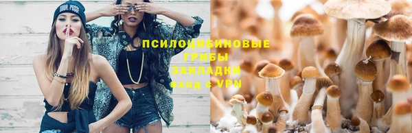 амф Балахна